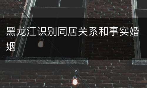 黑龙江识别同居关系和事实婚姻