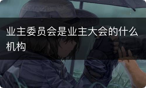 业主委员会是业主大会的什么机构