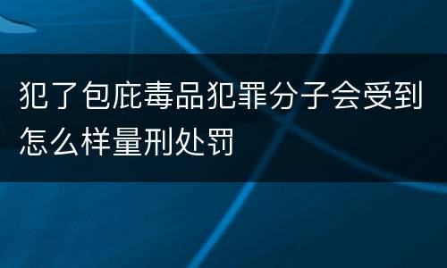 犯了包庇毒品犯罪分子会受到怎么样量刑处罚