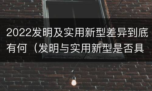 2022发明及实用新型差异到底有何（发明与实用新型是否具有实用性）