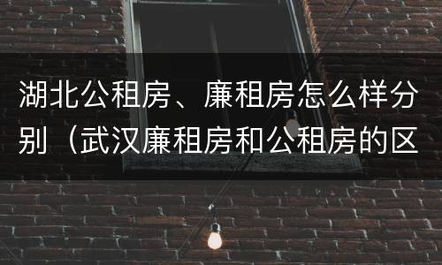 湖北公租房、廉租房怎么样分别（武汉廉租房和公租房的区别）