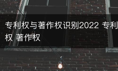专利权与著作权识别2022 专利权 著作权