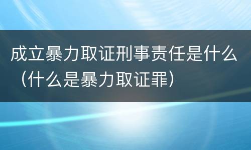 成立暴力取证刑事责任是什么（什么是暴力取证罪）