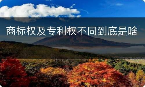 商标权及专利权不同到底是啥