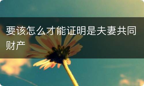 要该怎么才能证明是夫妻共同财产