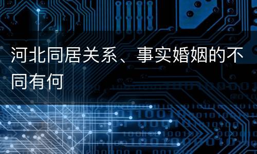 河北同居关系、事实婚姻的不同有何