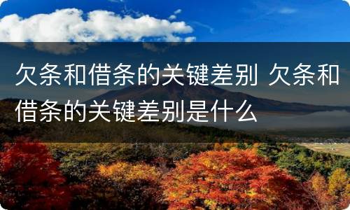 欠条和借条的关键差别 欠条和借条的关键差别是什么