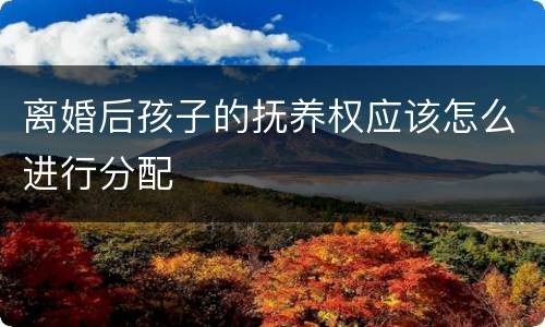 离婚后孩子的抚养权应该怎么进行分配