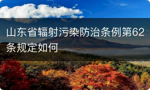 山东省辐射污染防治条例第62条规定如何