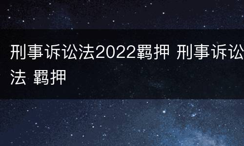 刑事诉讼法2022羁押 刑事诉讼法 羁押