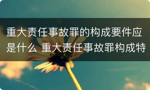 重大责任事故罪的构成要件应是什么 重大责任事故罪构成特征