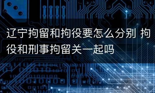 辽宁拘留和拘役要怎么分别 拘役和刑事拘留关一起吗
