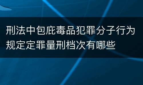 刑法中包庇毒品犯罪分子行为规定定罪量刑档次有哪些