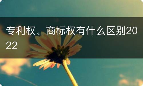 专利权、商标权有什么区别2022
