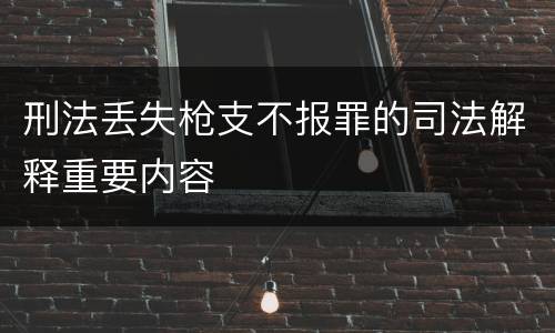 刑法丢失枪支不报罪的司法解释重要内容