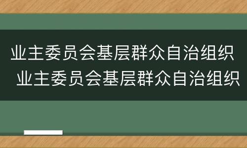 业主委员会基层群众自治组织 业主委员会基层群众自治组织工作