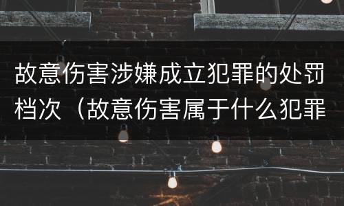 故意伤害涉嫌成立犯罪的处罚档次（故意伤害属于什么犯罪）