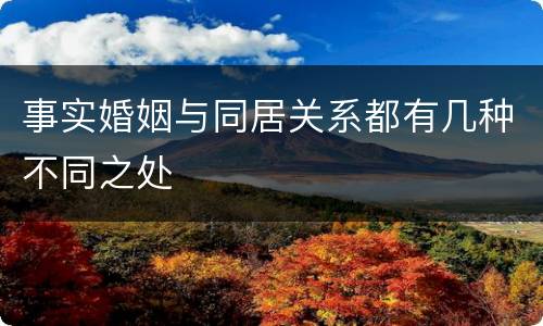 事实婚姻与同居关系都有几种不同之处