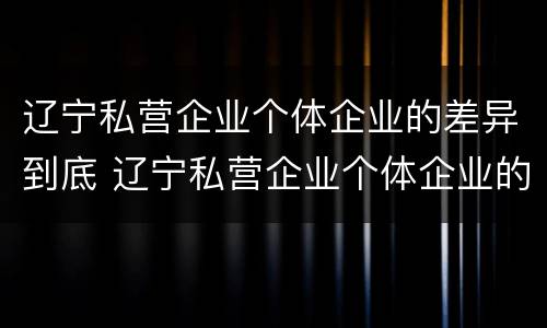 辽宁私营企业个体企业的差异到底 辽宁私营企业个体企业的差异到底有多大