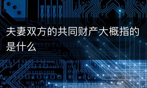 夫妻双方的共同财产大概指的是什么