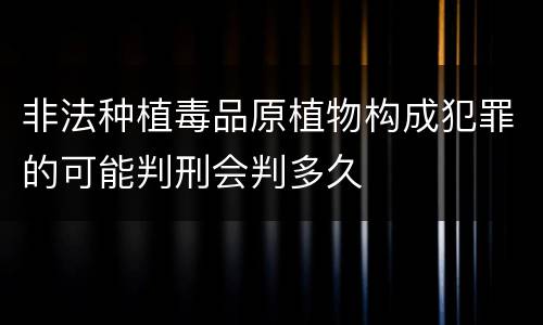 非法种植毒品原植物构成犯罪的可能判刑会判多久
