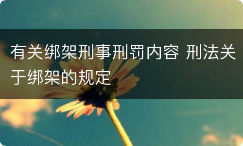 有关绑架刑事刑罚内容 刑法关于绑架的规定