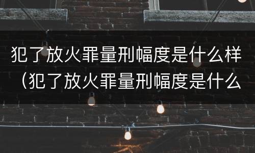犯了放火罪量刑幅度是什么样（犯了放火罪量刑幅度是什么样子的）