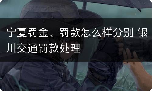 宁夏罚金、罚款怎么样分别 银川交通罚款处理