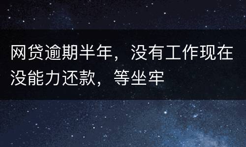 网贷逾期半年，没有工作现在没能力还款，等坐牢