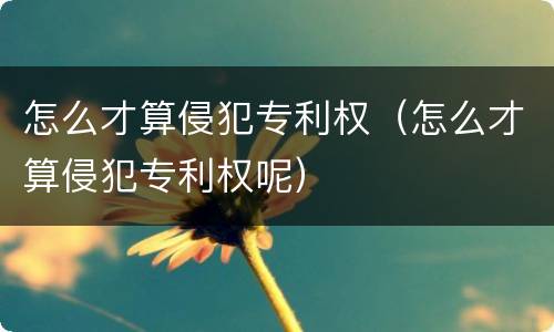 怎么才算侵犯专利权（怎么才算侵犯专利权呢）