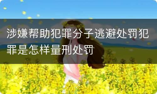 涉嫌帮助犯罪分子逃避处罚犯罪是怎样量刑处罚