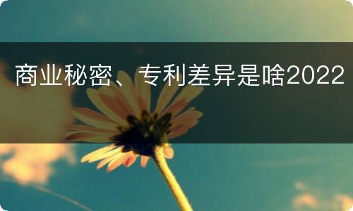 商业秘密、专利差异是啥2022