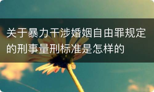 关于暴力干涉婚姻自由罪规定的刑事量刑标准是怎样的