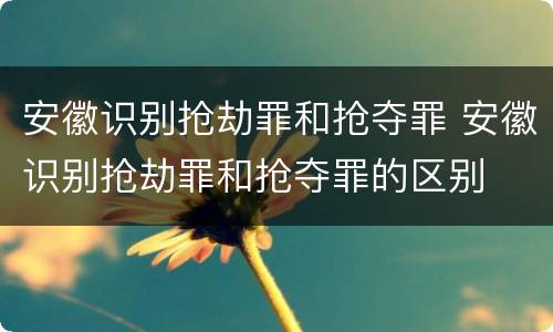安徽识别抢劫罪和抢夺罪 安徽识别抢劫罪和抢夺罪的区别
