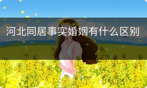 河北同居事实婚姻有什么区别