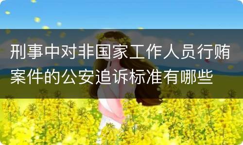 刑事中对非国家工作人员行贿案件的公安追诉标准有哪些