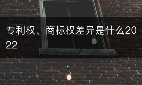 专利权、商标权差异是什么2022