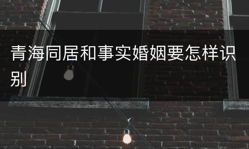 青海同居和事实婚姻要怎样识别