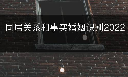同居关系和事实婚姻识别2022