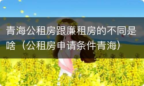 青海公租房跟廉租房的不同是啥（公租房申请条件青海）