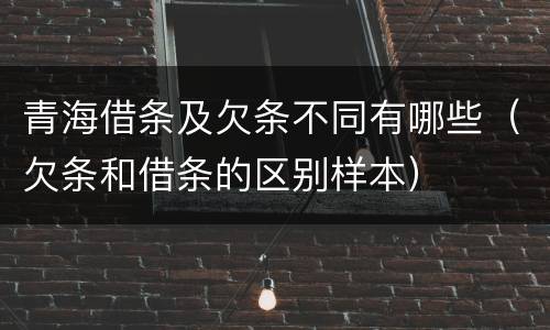 青海借条及欠条不同有哪些（欠条和借条的区别样本）