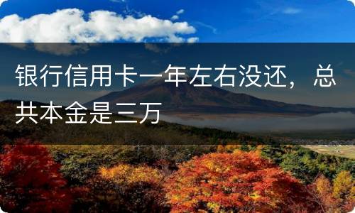 银行信用卡一年左右没还，总共本金是三万