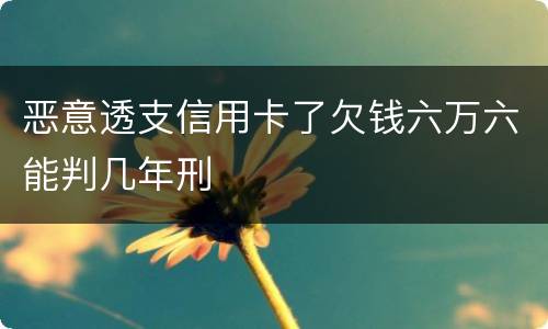 恶意透支信用卡了欠钱六万六能判几年刑