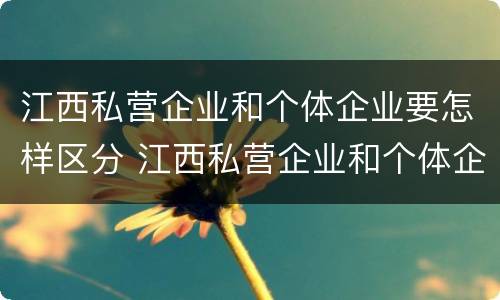 江西私营企业和个体企业要怎样区分 江西私营企业和个体企业要怎样区分出来
