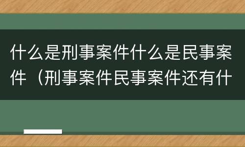 什么是刑事案件什么是民事案件（刑事案件民事案件还有什么案件）