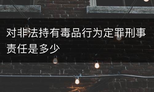 对非法持有毒品行为定罪刑事责任是多少