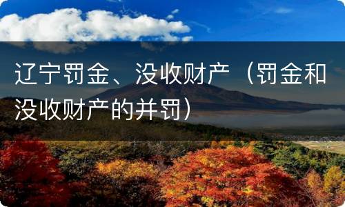 辽宁罚金、没收财产（罚金和没收财产的并罚）