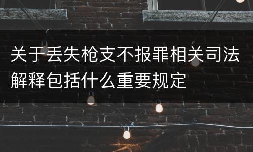 关于丢失枪支不报罪相关司法解释包括什么重要规定