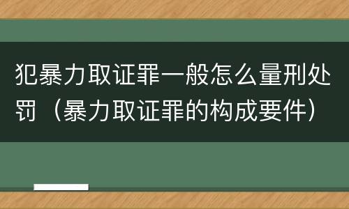 犯暴力取证罪一般怎么量刑处罚（暴力取证罪的构成要件）