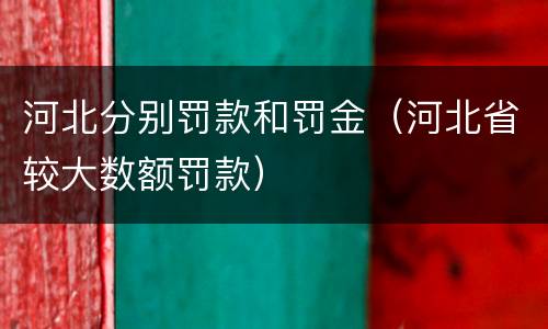 河北分别罚款和罚金（河北省较大数额罚款）